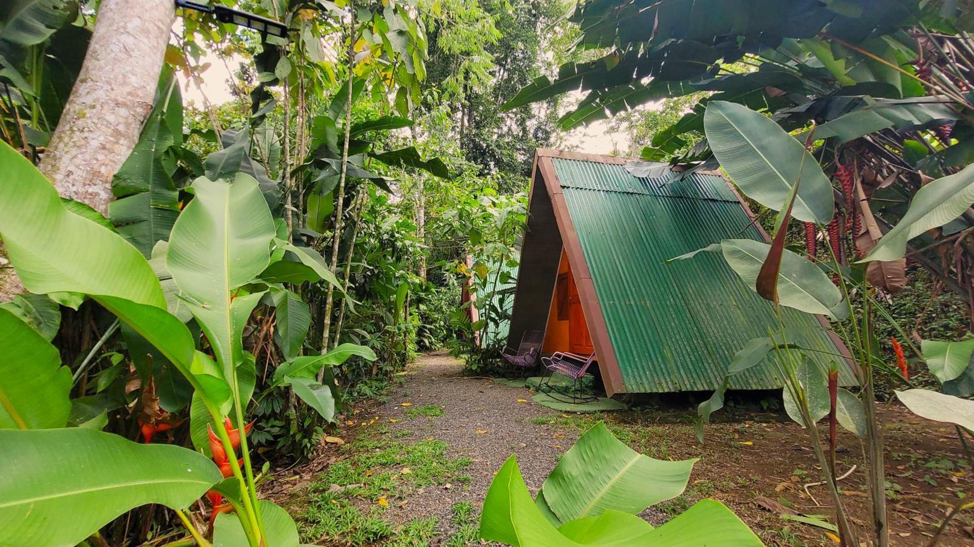 Chalets Silencio Del Bosque Ла Фортуна Экстерьер фото
